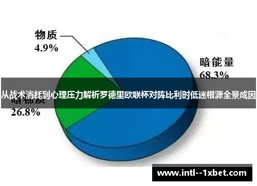 从战术消耗到心理压力解析罗德里欧联杯对阵比利时低迷根源全景成因